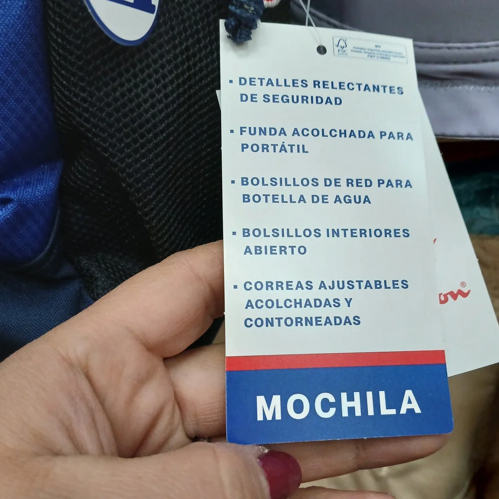 Champion Navy and Blue Backpack